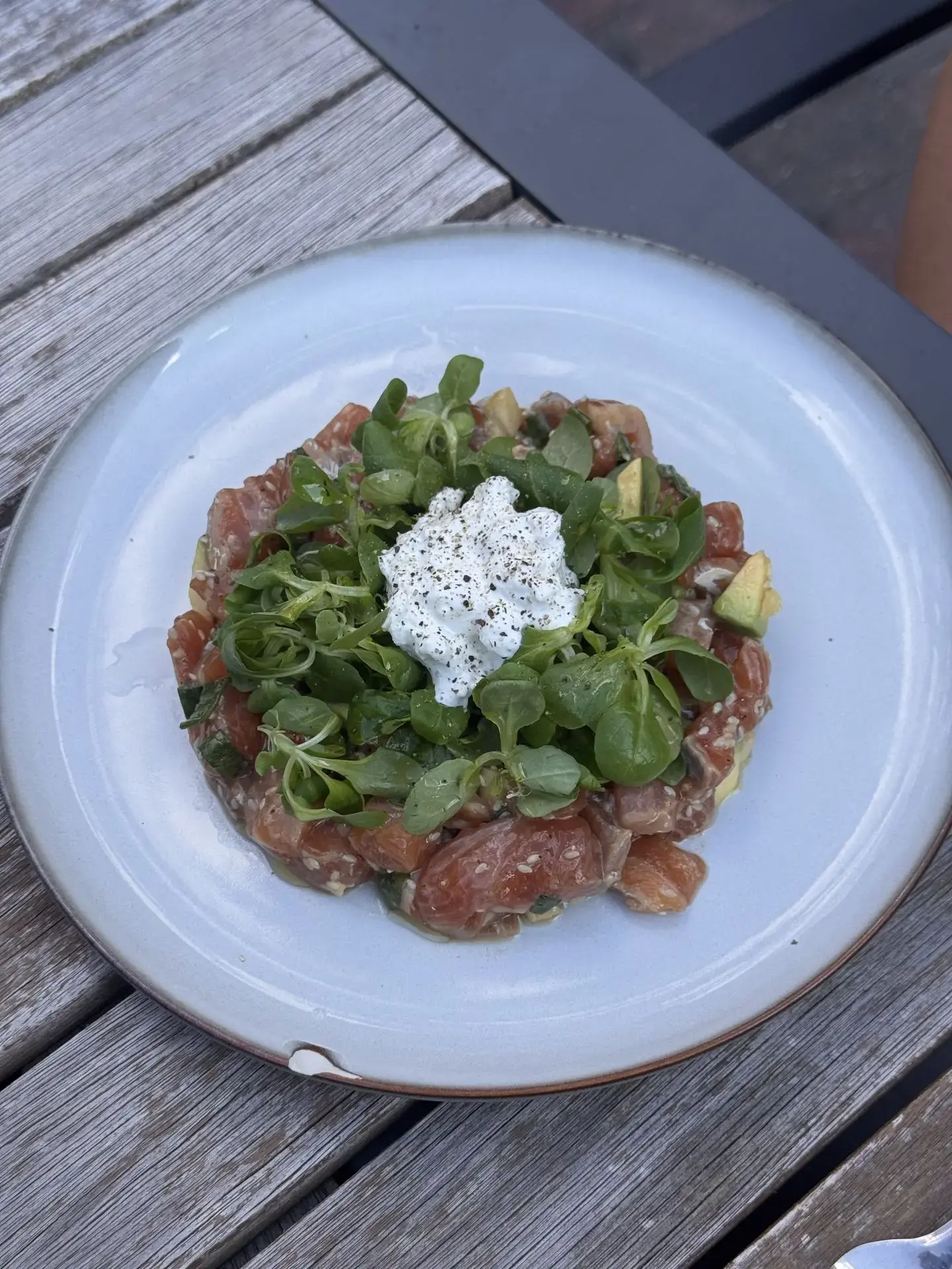 Plat : Tartare de saumon & burrata