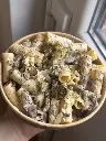 Rigatoni champignons crème de truffe et parmesan (Normal, Pâtes normales)